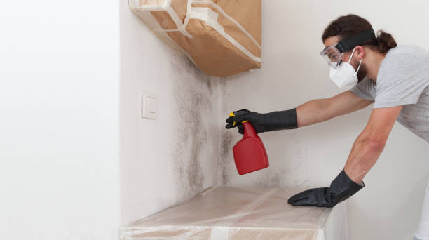 Professional Commercial Mold Remediation technician working in Apex, NC