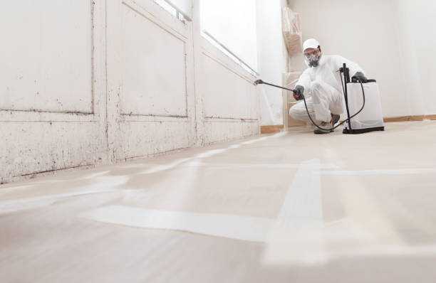 24/7 Emergency Commercial Mold Remediation experts in Apex, NC