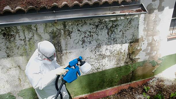 Top rated local Commercial Mold Remediation specialists in Apex, NC